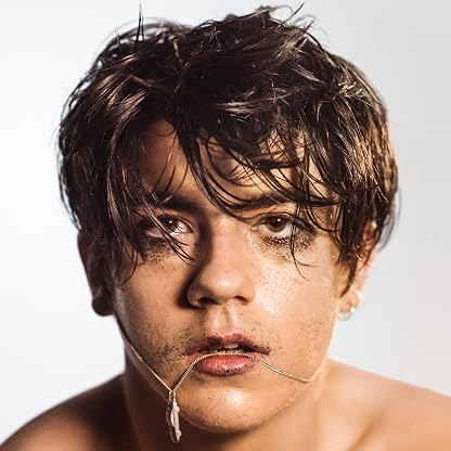 What Do You Think About the Car? [Disco de Vinil] por Declan McKenna, capa do álbum