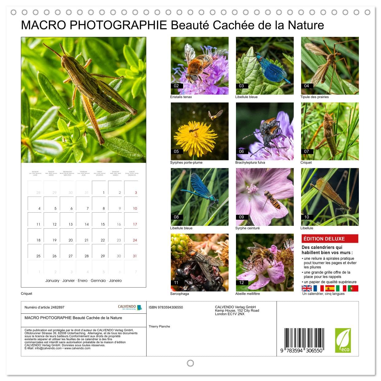 Macro Photo Cachée de la Nature (Calendrier mural carré 2027 30 x 30 cm) Calendrier double avec une page pour vos prises de notes
