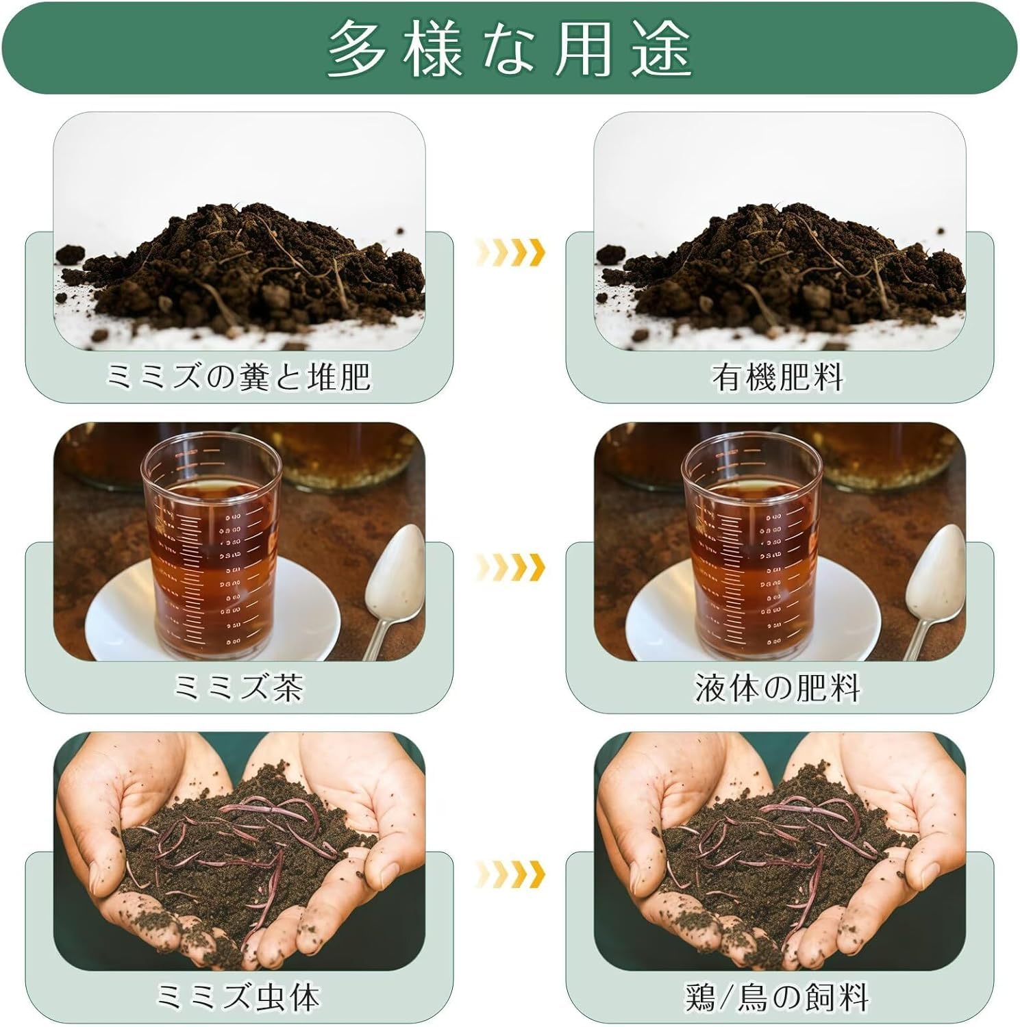 Amazon.co.jp: コンポスト ミミズの養殖 コンポスター 4層 生