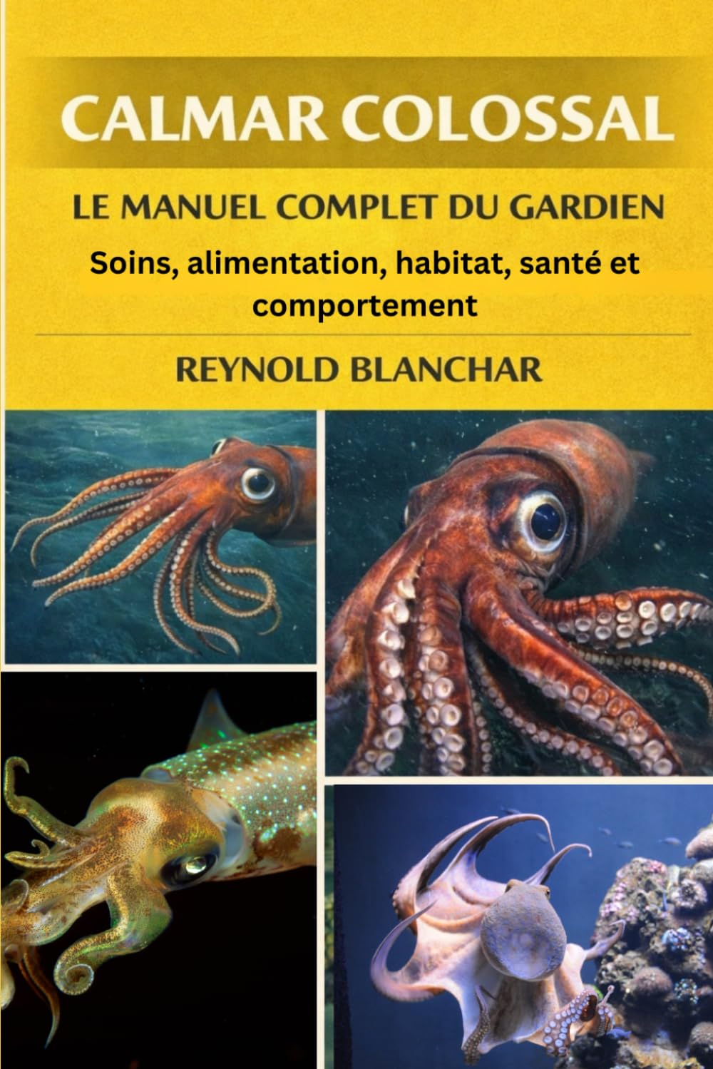 CALMAR COLOSSAL: Soins, alimentation, habitat, santé et comportement