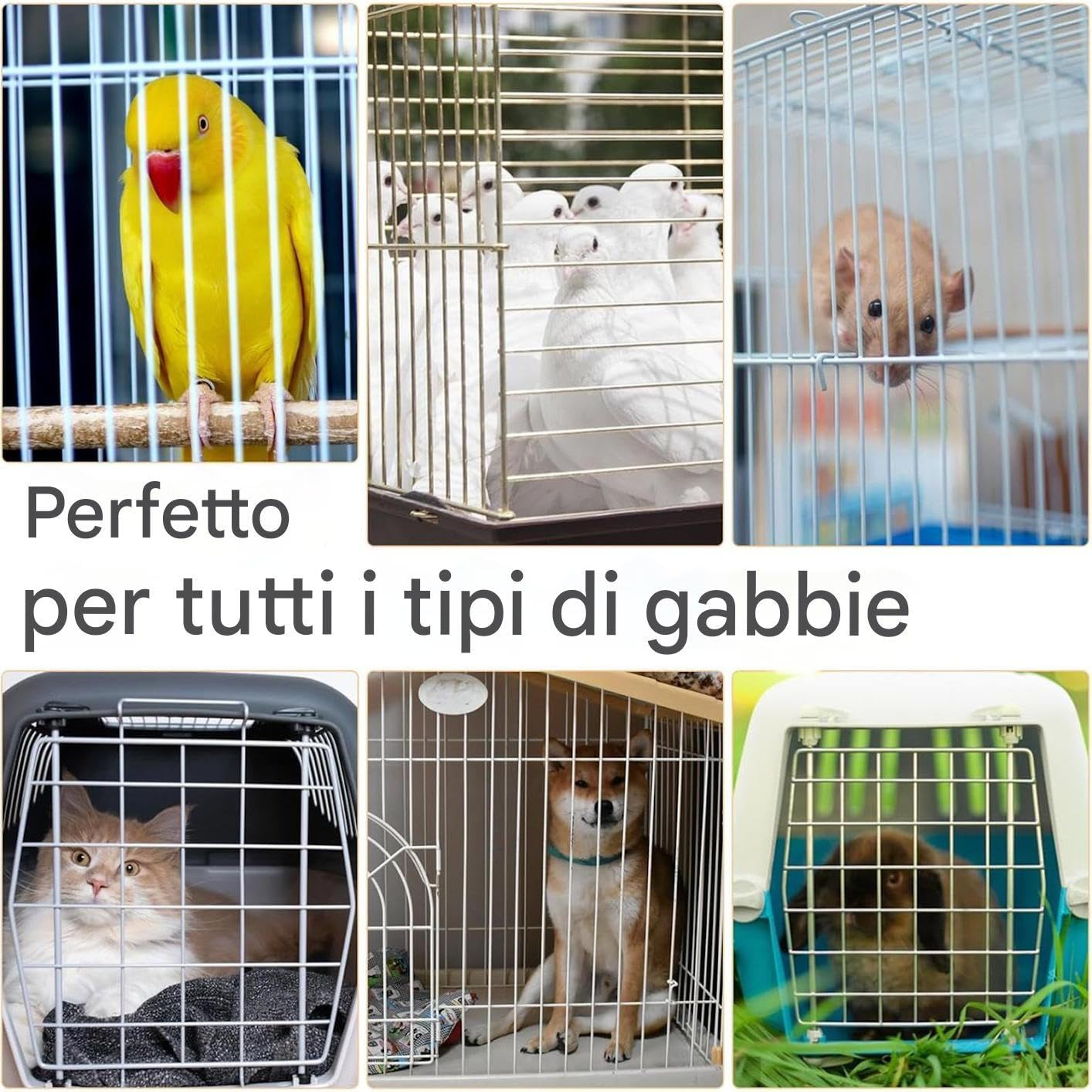 Accessori Per La Pulizia Delle Gabbie Per Uccelli - Raschietto Per Pulire Escrementi Di Uccelli | Kit Completo Accessori Spazzola Per Animali Per Voliera Conuro Uccellino Vasca Uccelli