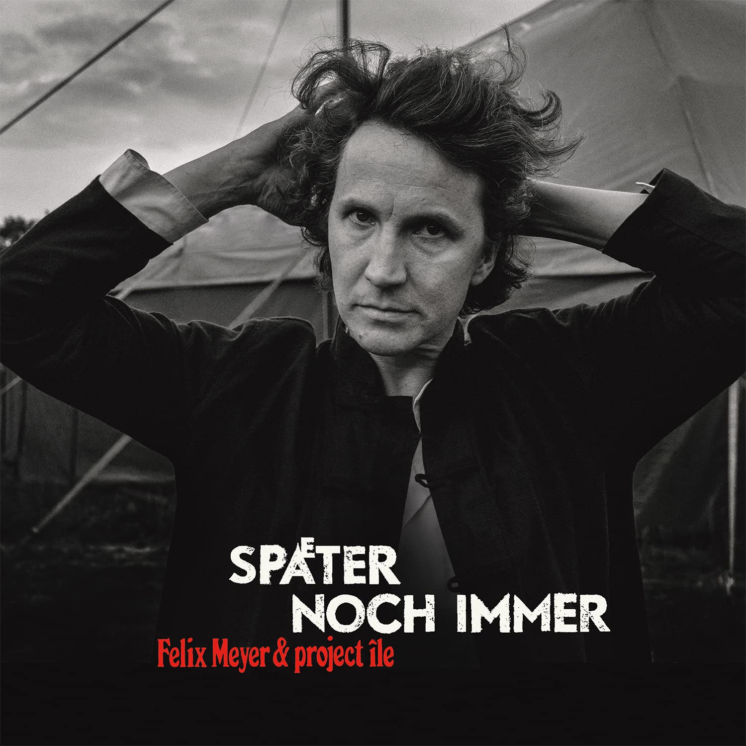 Später Noch Immer [VINYL]
