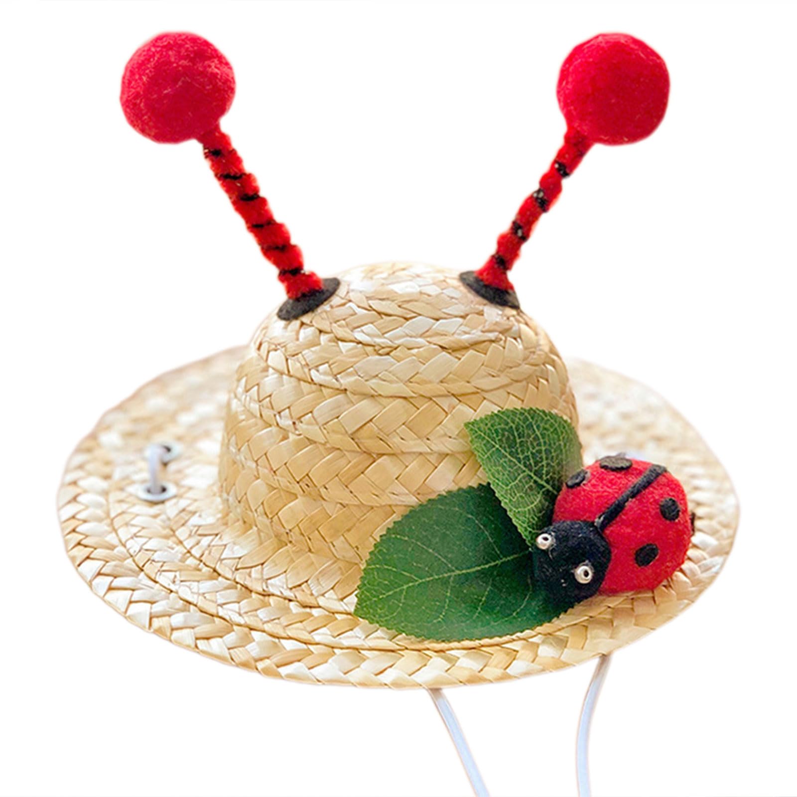 REDYY Pet Straw Hat Lovely Dog Hat Outdoor Pet Gear Pet Party Hat Fashion Dog Outfit for Outdoor Activity Pets Straws Hat