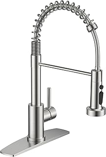 FORIOUS Brushed Nickel Kitchen Faucet Sprayer