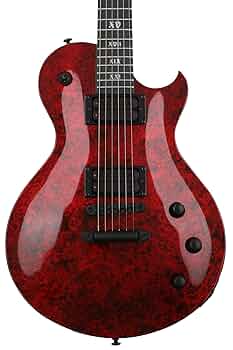 「A6M5_zeke 」SCHECTER  Solo-II FR A6M5_zeke 」SCHECTER Solo-II FR Schecter Solo-II FR