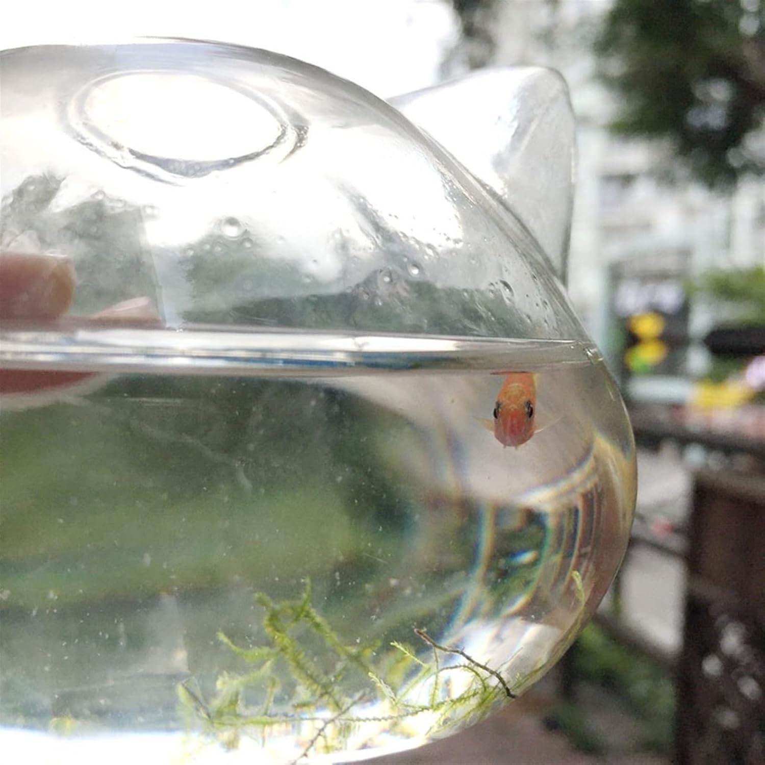 Aquarium Cat Head Shape Small Fish Tank, Clear Glass Small Aquarium Tank, Thick Desktop Fish Tank, Eco-Friendly Tank Simple Small Fish Aquarium(Small