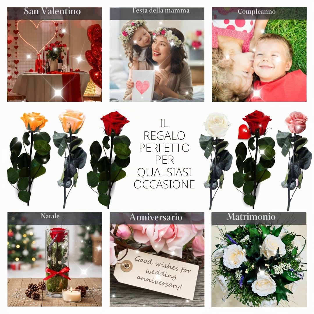 Rosen-Te-Amo | regalo Festa della Mamma | Rosa vera stabilizzata profumata "San Valentino" e biglietto auguri | Rosa eterna rossa | idea regalo compleanno, San Valentino, Natale | Regalo Donna