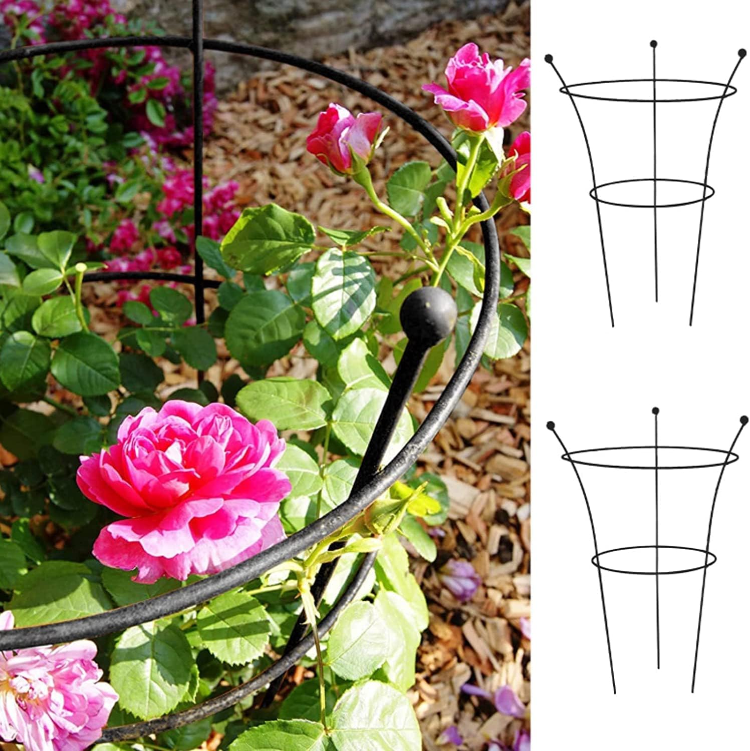 Pacoco 2 Pack Heavy Duty Plant Supports, Metal Cages with 2 Rings for