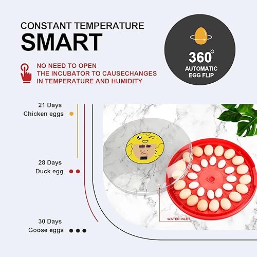 Miniatura 3 de Incubadora de 30 huevos 1-30 huevos con pantalla de humedad, girador automático de huevos, vela de huevos, con asa, calefacción uniforme, espacio