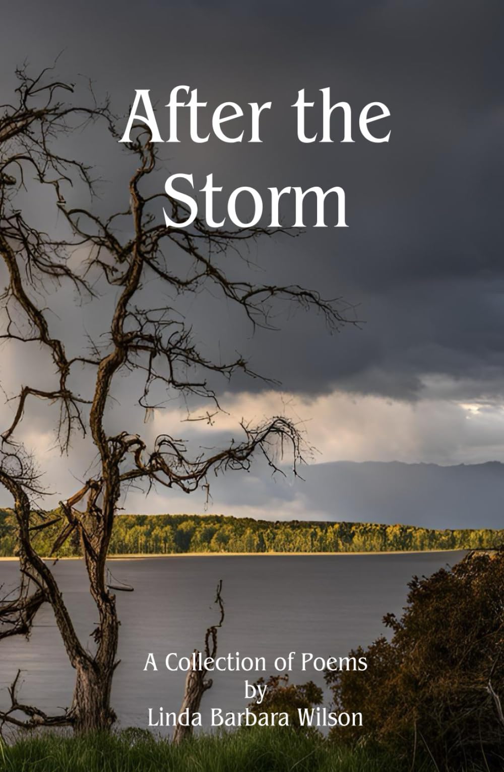 After the Storm