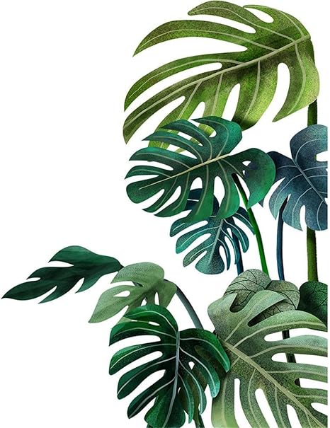 Amazon ウォールステッカー おしゃれ 緑 葉 植物 北欧 壁紙シール ポスター インテリア 部屋の壁紙シール 装飾 Diy シール 貼りはがしが簡単 Pvc素材 耐久性 屋内植物 リビング 30 90cm 室内 インテリア内装用 壁画壁飾り Diy おしゃれ 南国 海 A ヤシの葉 木 ウォール Amazon ウォールステッカー おしゃれ 緑 葉 植物 北欧 壁紙シール ポスター インテリア 部屋の壁紙シール 装飾 Diy シール 貼りはがしが簡単 Pvc素材 耐久性 屋内植物 リビング 30 90cm 室内 インテリア内装用 壁画壁飾り Diy おしゃれ 南国 海 A ヤシの葉 木 ウォール