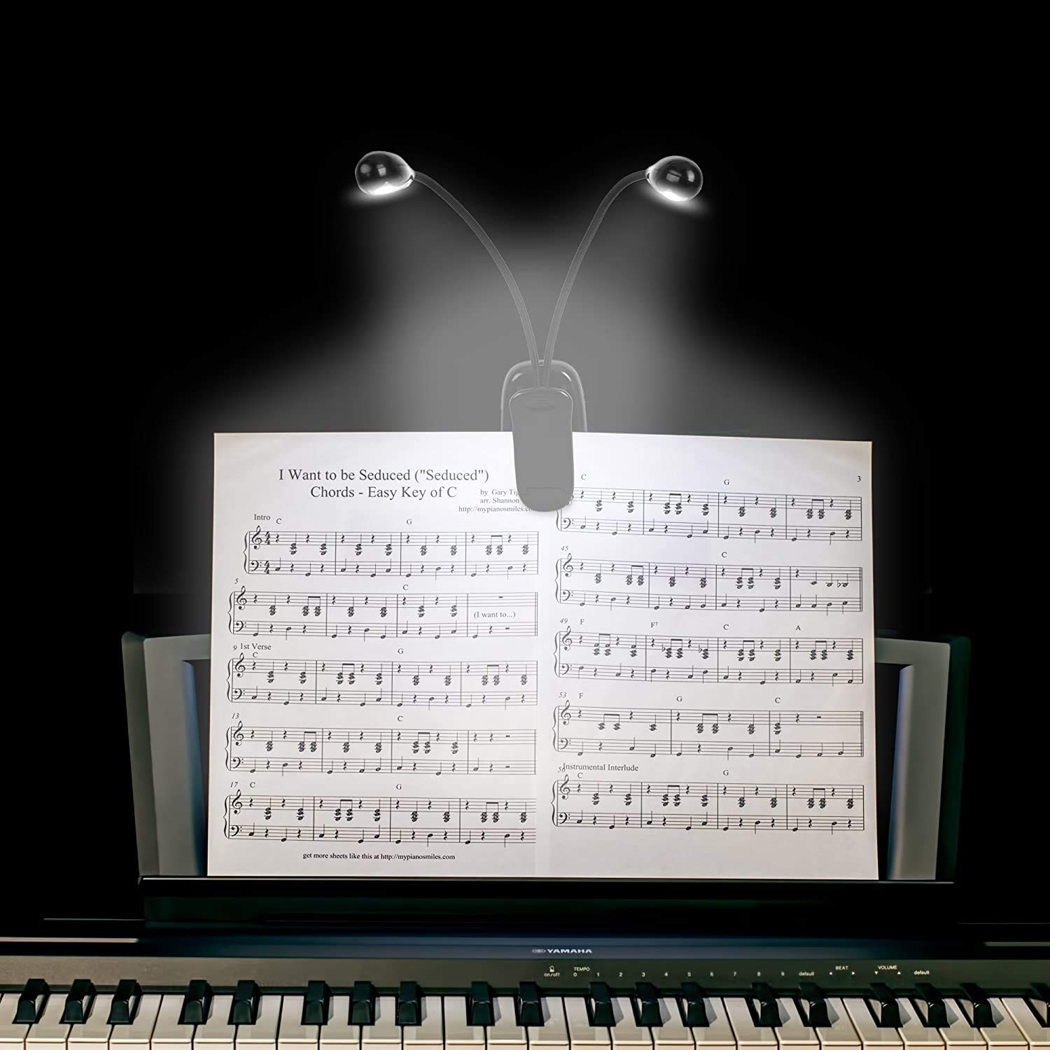 Confezione da 4 luci per leggio musicale, luci per pianoforte a clip, USB e batterie AAA, lampade da lettura a LED, 4 luminosità, ideali per musicisti, bambini, pianoforte, orchestra, chitarra, viaggi
