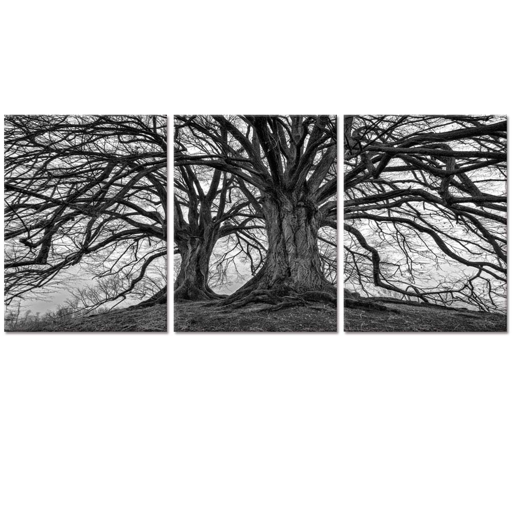 Visual Art Decor 3 Pieces Black and White Tree Wall Art Winter Oak Trees Branches Picture Nature Scenery Giclee Prints Framed Ready to Hang Living Room Wall Decor Home Decor 12x16inchx3Pieces