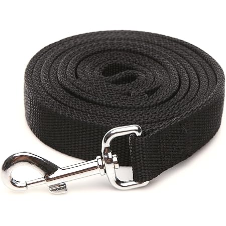 petsafe nylon dog leash