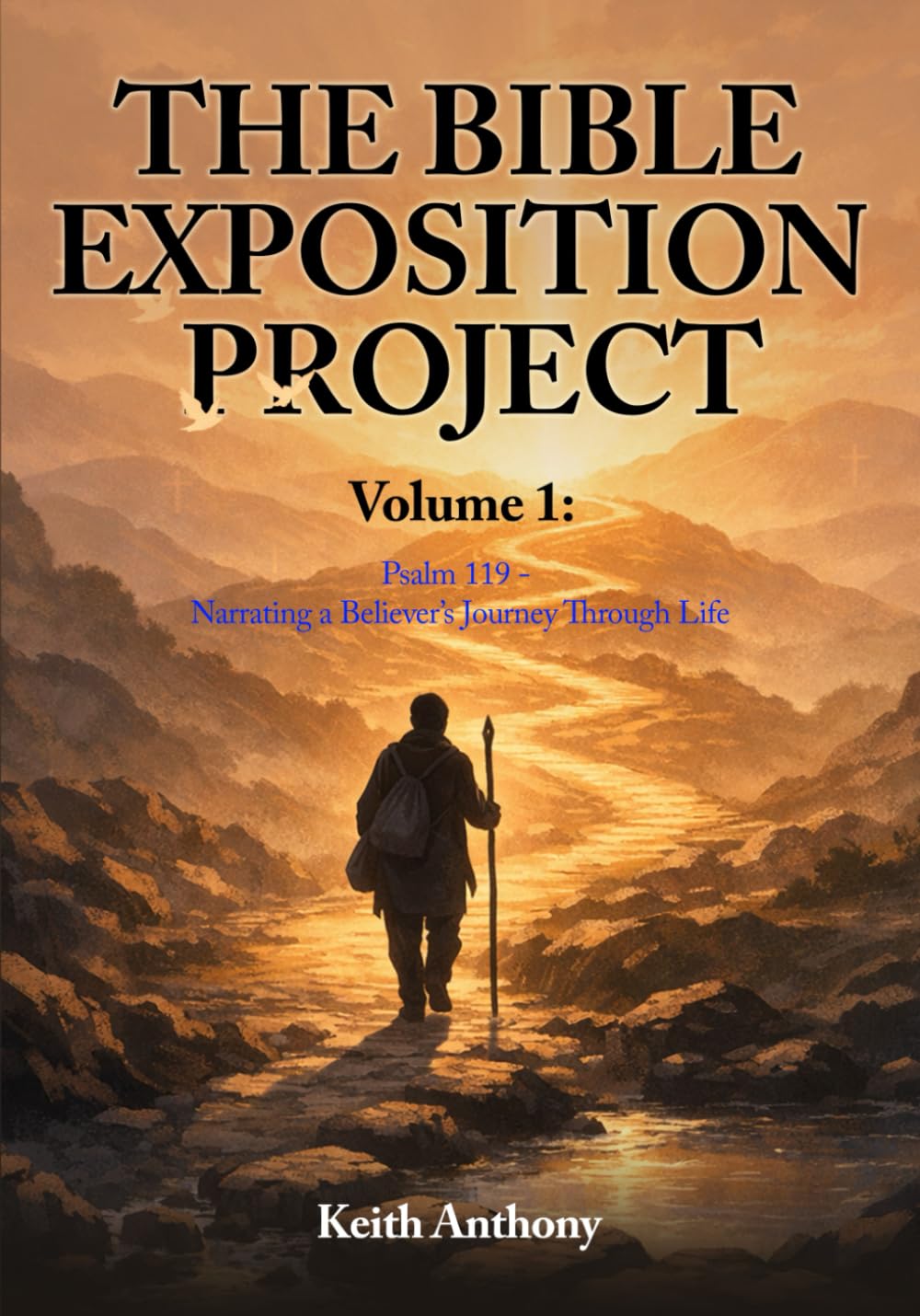 The Bible Exposition Project: Volume 1 ( Psalm 119 - Narrating a Believer's Journey Through Life )