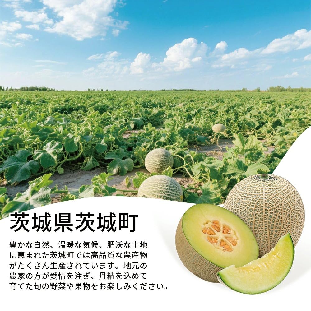 Amazon.co.jp: Melon, Premium Melon, Made in Japan, Seasonal Melon