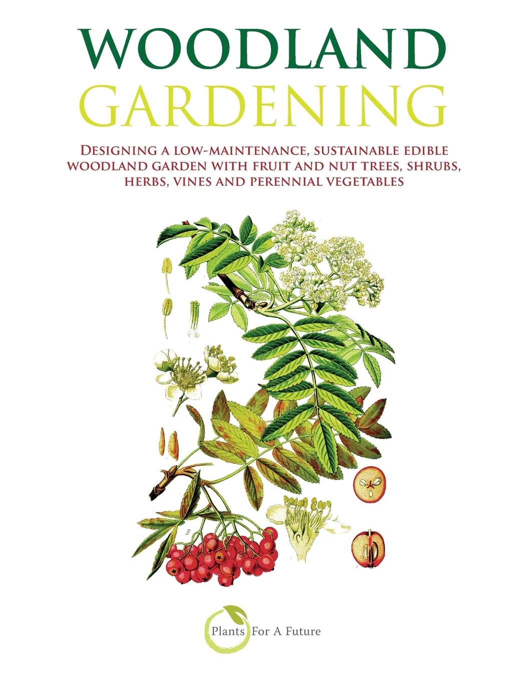 Woodland Gardening: Designing a low-maintenance, sustainable edible woodland garden