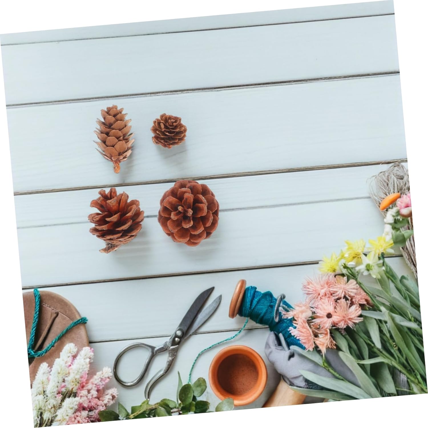 TEHAUX 150Pcs Natural Pine Cones Acorns for DIY Crafts Small Pine Decorations for Holiday Vase Fillers Creative Home Decor for Crafting Activities