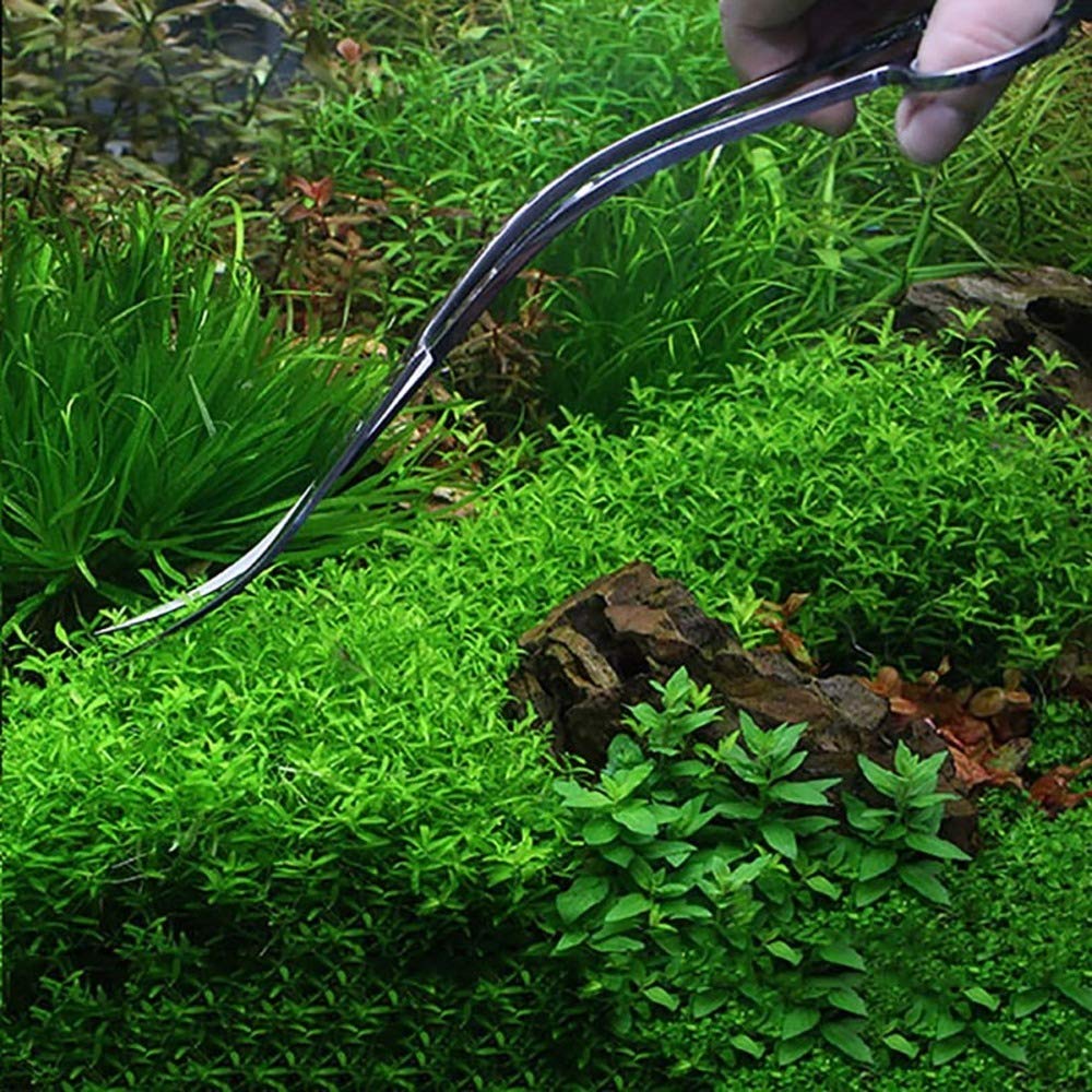Forbici per Acquario,Forbice Curve per Acquari in Acciaio Inox Forbici per Lama Curva per Acquario Piante