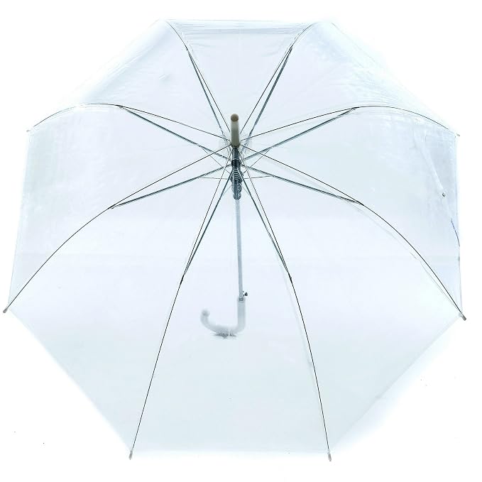 Cheeky Chunk Transparent Umbrella