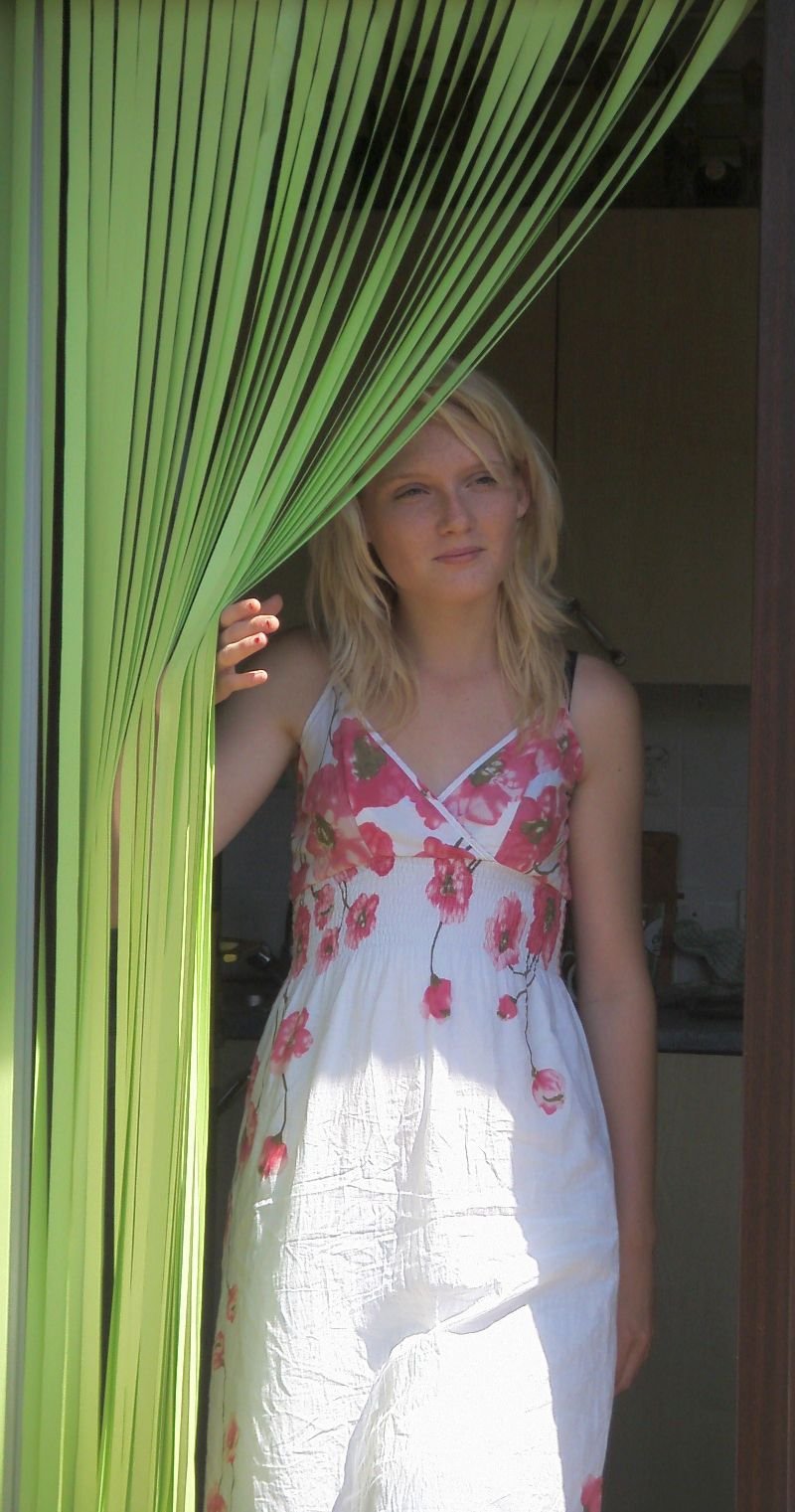 Holland Plastics Original Brand Slat Type Door Curtain Bug Fly Strip Blind Citrus