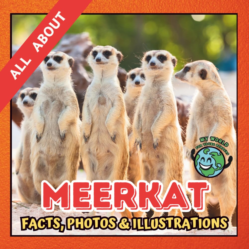 All about Meerkat | Facts, Photos and Illustrations: A Picture Book for Curious Children | Screen-Free Infotainment (MY WORLD for YOUNG READERS)