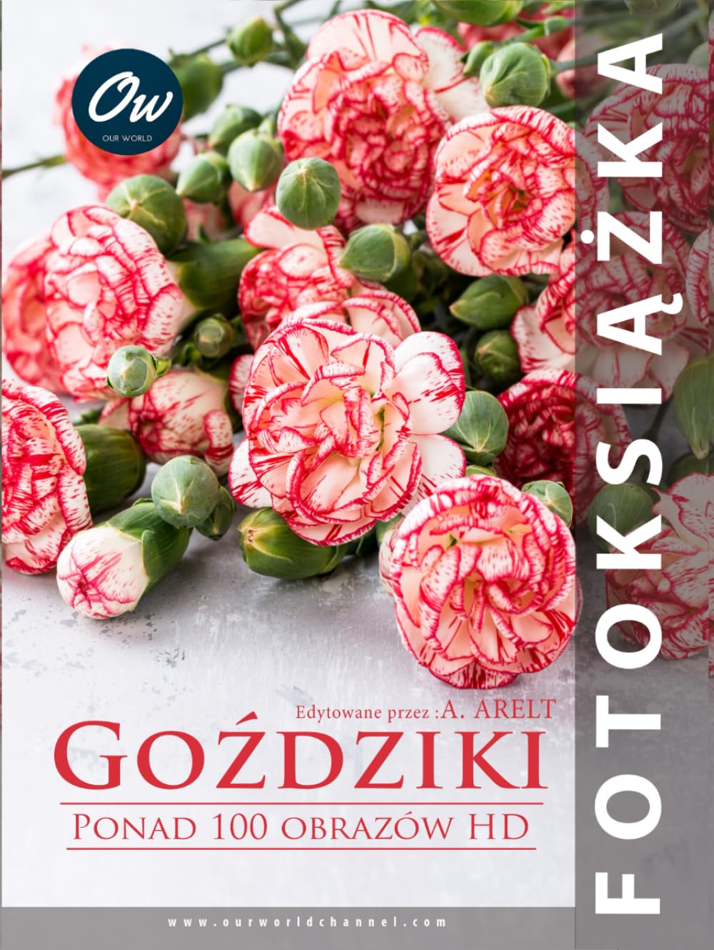 Livre photo Goździki album de souvenirs pour ancrer les moments partagés