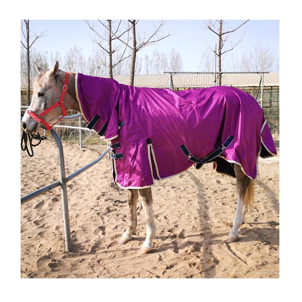 Couverture pour cheval contre le froid tapis protecteur respirant pour poulain