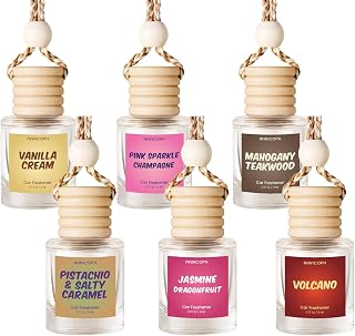 6 Pack Car Air Freshener Hanging Diffuser Set for Women | 6 hanging diffusers, 6 long lasting scents, natural oil blend, cute car decor, gift box for women men