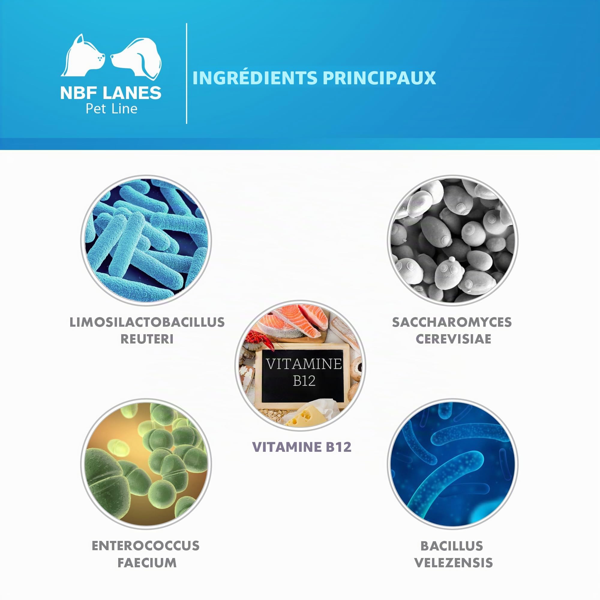 NBF Lanes | Reuteral Pet Chien, 30 Capsules, Probiotique à base de ferments lactiques vivants pour la stabilisation de la flore intestinale chez les chiens