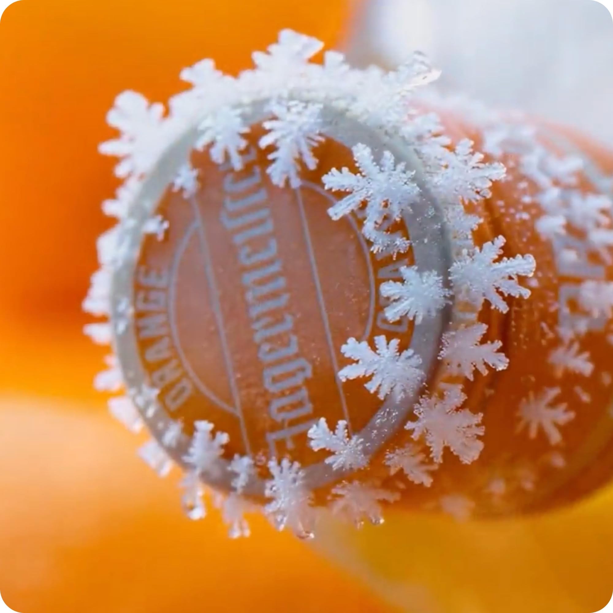 Jägermeister ORANGE – 96 x 0,02l Premium Kräuterlikör Shots 33% Vol. – Fruchtig-frisch mit Citrusöl-Extrakt aus sonnengereiften sizilianischen Orangen – 56 erlesene Kräuter