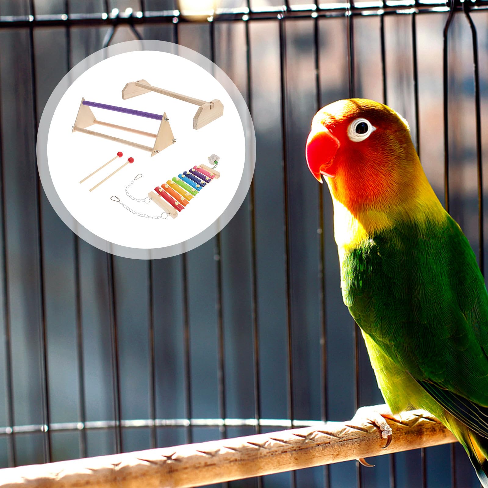 Cabilock Barra de Madera para Descansar y Jugar para Aves y Gallinas, Soporte Natural de Madera Xilófono, Accesorio para Jaulas y Suministros para Mascotas en Casa