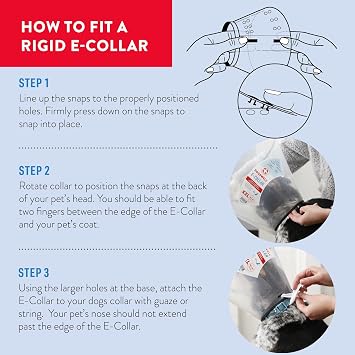 Dogswell Remedy + Recovery Pet First Aid, Rigid E-Collar, Clear, Medium