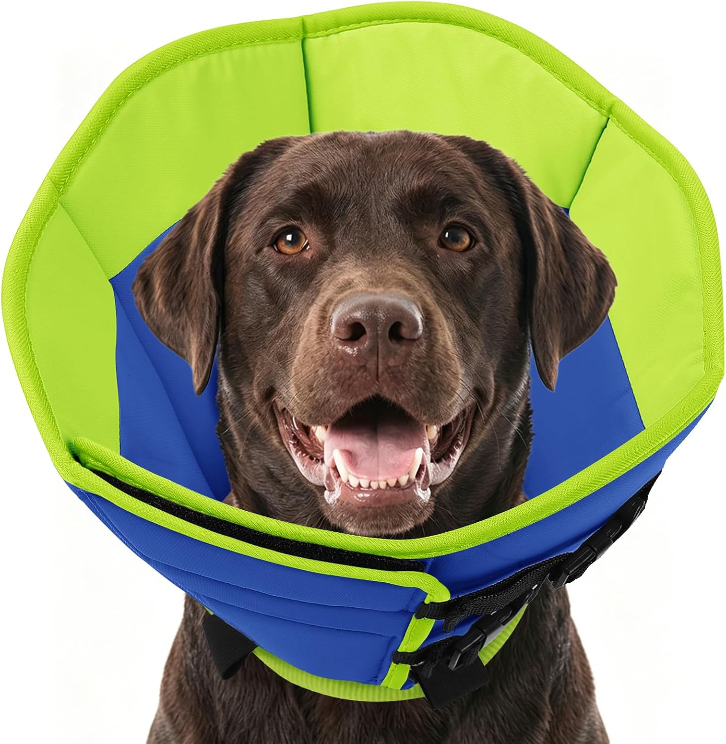 AOFITEE Dog Cone Collar, Adjustable Dog Cones Alternative for Large Dogs After Surgery with Buckle, Pet Cone for Dogs to Stop Licking, Neuter Elizabethan Cones for Wound Healing(Bluegreen,X-Large)
