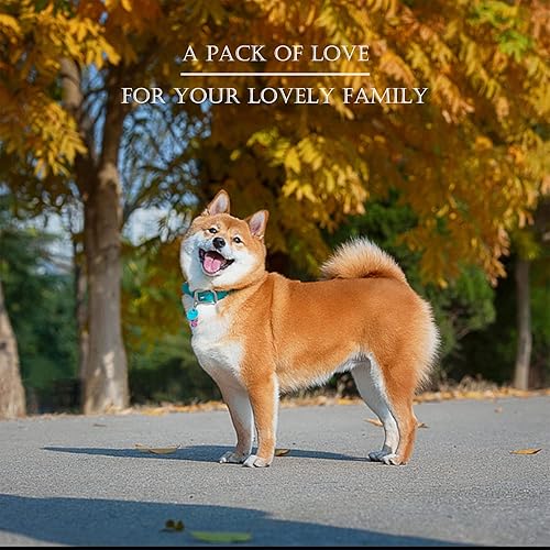 Miniatura 7 de Juguetes para cachorros para dentición, juguetes masticables para razas pequeñas y medianas, alivia el dolor de dentición, reduce la ansiedad,