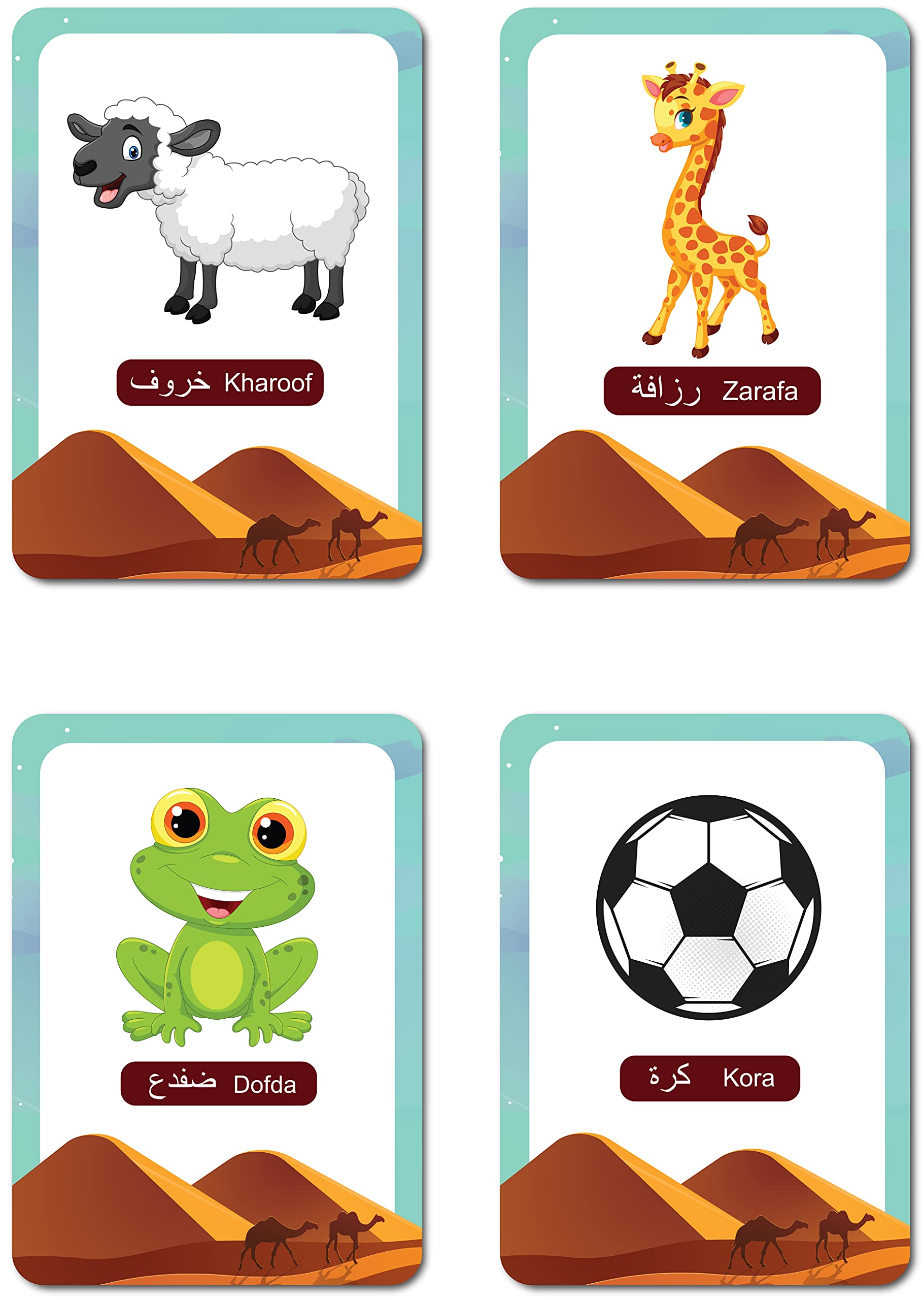Arabic Alphabet Flash Cards for Kids & Adults (28 Glossy Laminated