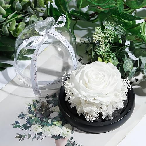 Vista 4 de DuHouse Forever White Roses - Caja de flores reales preservadas para San Valentín, cumpleaños, aniversario, día de la madre, Navidad (blanco)