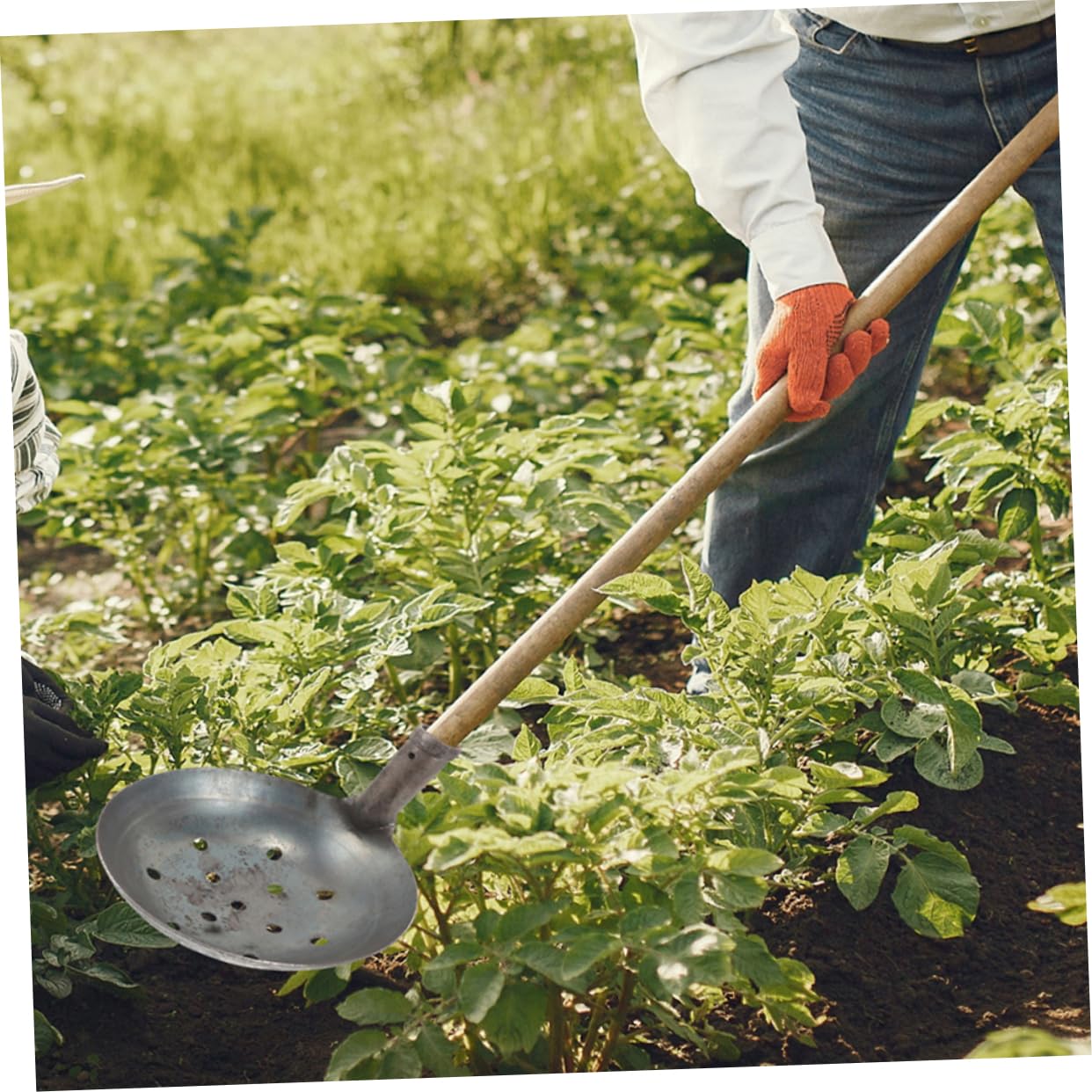 Mikikit Pala De Metal para Tamizar Estiércol Pala para Limpieza De Lodo para Jardín y Agricultura