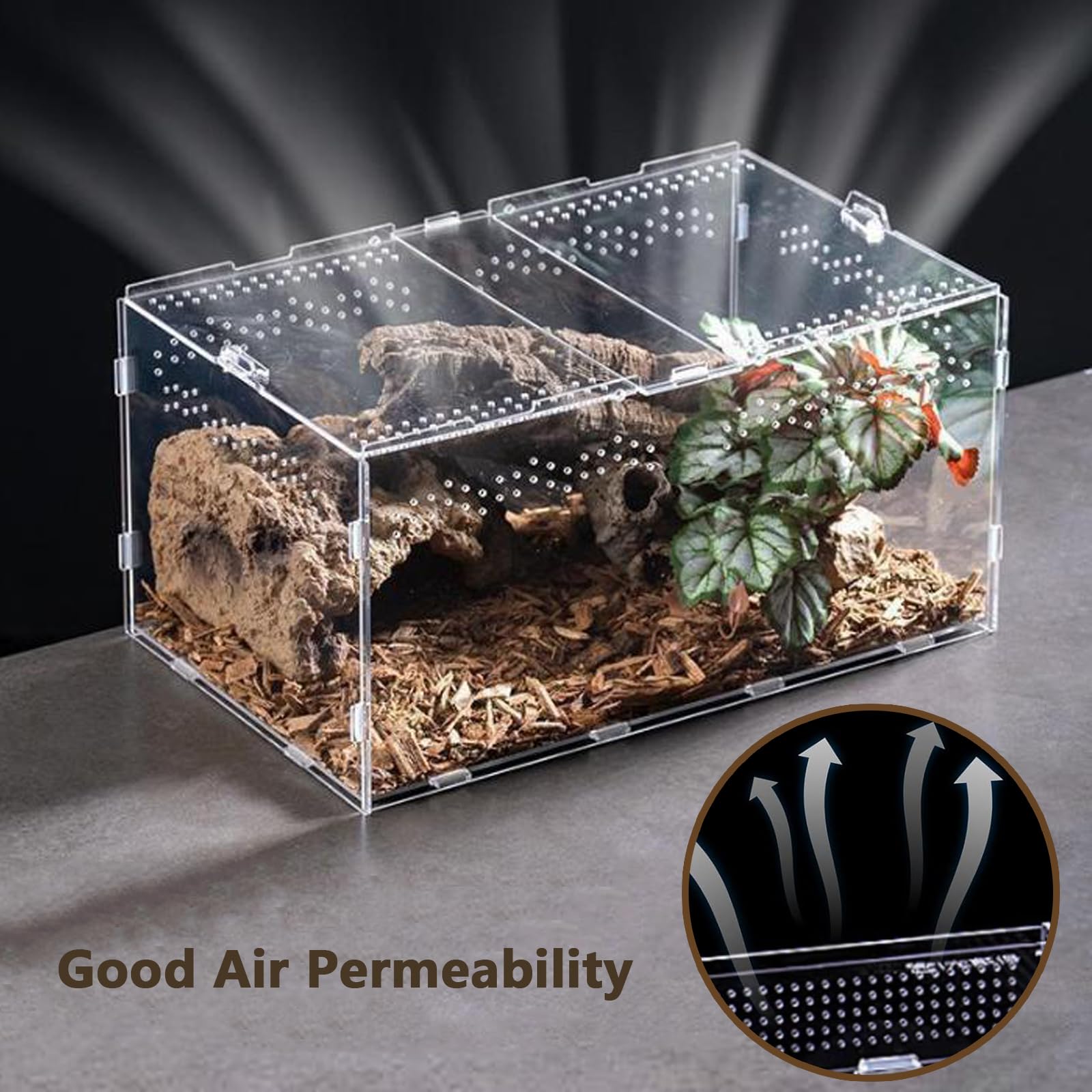 Przezroczyste akrylowe terrarium dla gadów i owadów – obudowa dla pająków, jaszczurek, żab, chrząszczy i innych owadów