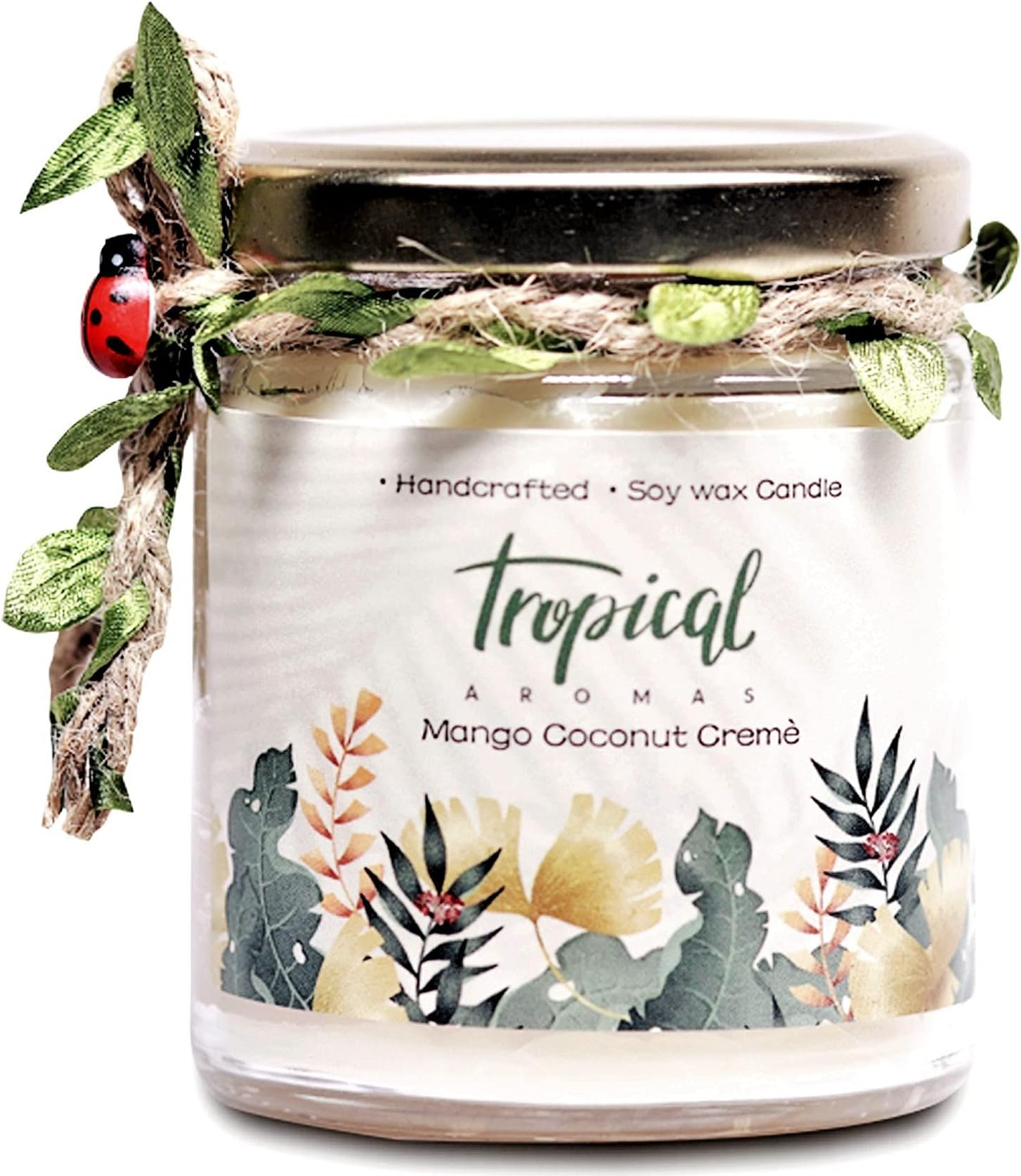 Tropical Aromas Scented Candle - Mango Coconut Creme 150 GMS | Handmade Jar Candle, Aromatherapy Candles, Candles for Home, Long Lasting Fragrance, Gift Candles, Forest Fruits Inspired Fragrance