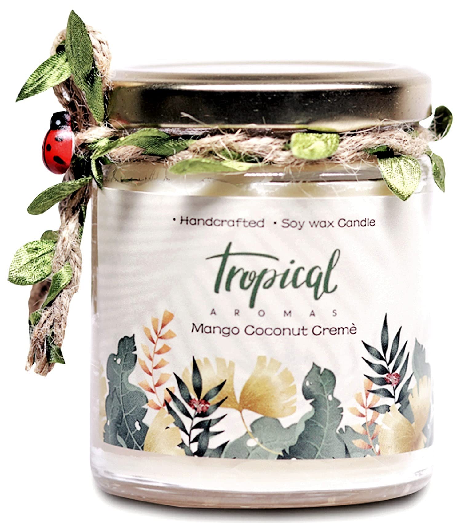 Tropical Aromas Scented Candle - Mango Coconut Creme 150 GMS | Handmade Jar Candle, Aromatherapy Candles, Candles for Home, Long Lasting Fragrance, Gift Candles, Forest Fruits Inspired Fragrance