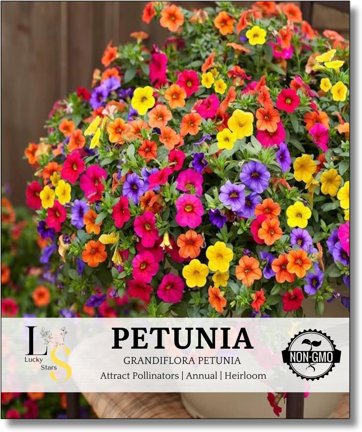 5000+ Petunia Seeds - Mixed Rainbow Color, Bonsai, Grandiflora Flowers, 1800 mg Heirloom Flower Seeds, Pollinator Garden, Open Pollinated, Non-GMO, Indoor and Outdoor