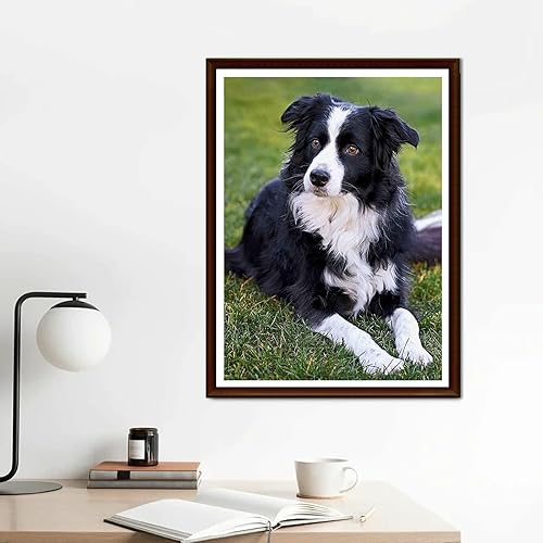Miniatura 3 de YEEIFFD Pintura de diamante redondo Border Collie Dog DIY Rhinestone bordado arte adulto por número, kit de manualidades para decoración del hogar,