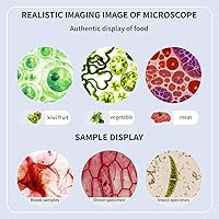 Vista 7 de Microscopio trinocular 40x-2000x Ampliación de doble capa con luces LED en la parte superior e inferior, perillas de enfoque dual gruesas