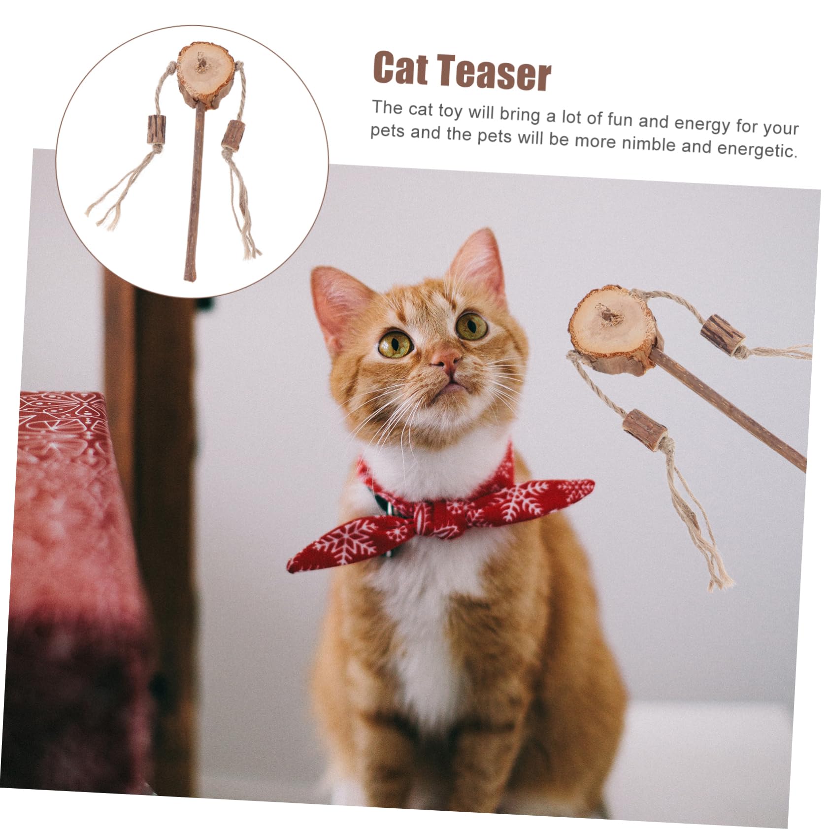 Jouets pour Chats, Lot de 6 Jouets interactifs for Le Nettoyage des Dents et soulagement du Stress Chatons d'intérieur