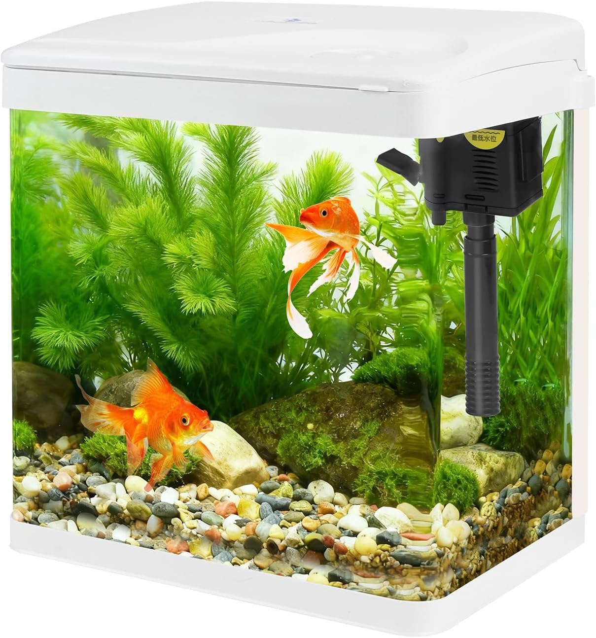 Piccolo acquario per pesci L'acquario da 2 galloni offre un display moderno con struttura in vetro ad trasparenza per Betta Betta da 5 galloni