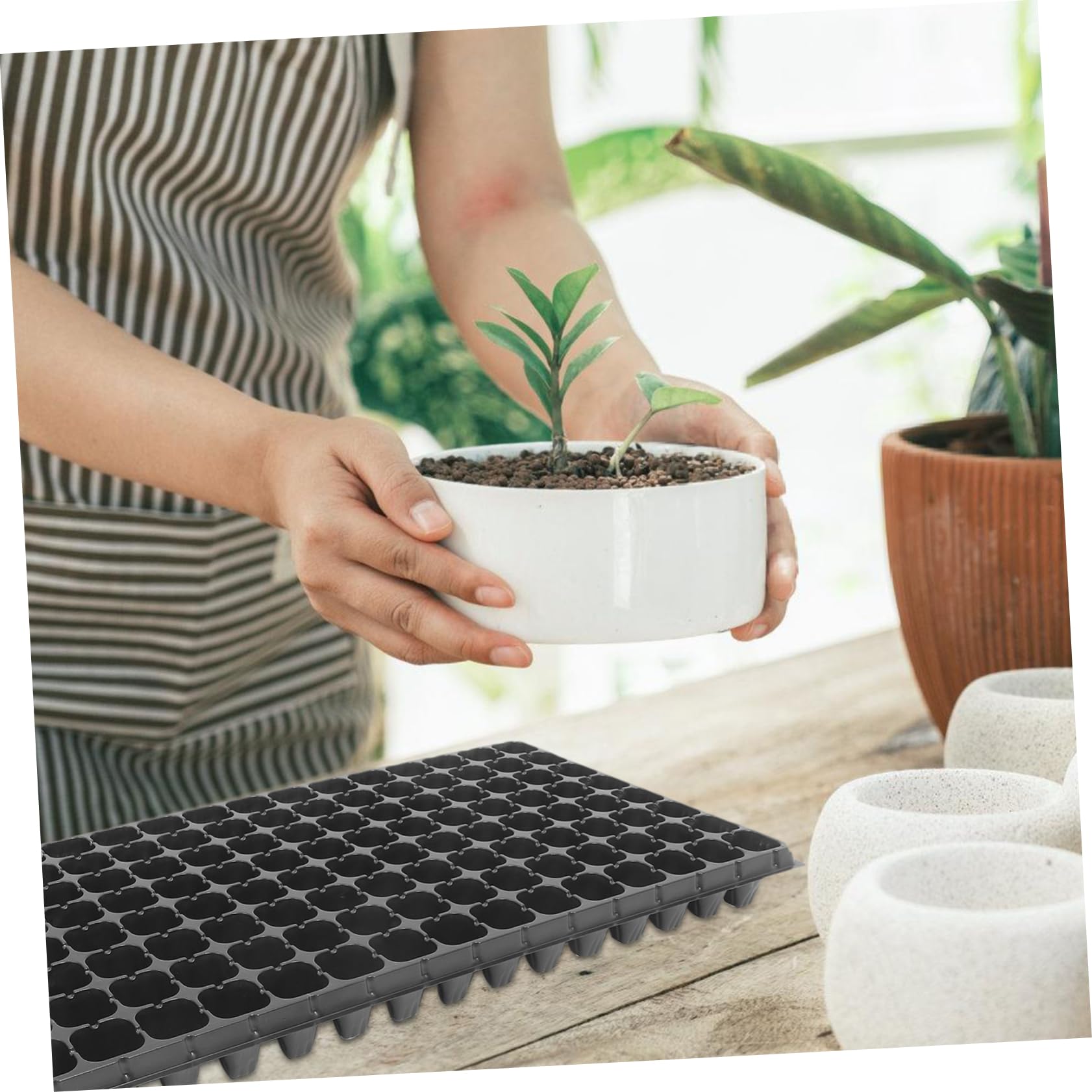 ibasenice 10 Plaques de Culture Alvéolées Rigides pour Semis, 128 Cellules, PVC, Lot de 10, Pépinière et Culture des Plantes pour Jardinage Maison