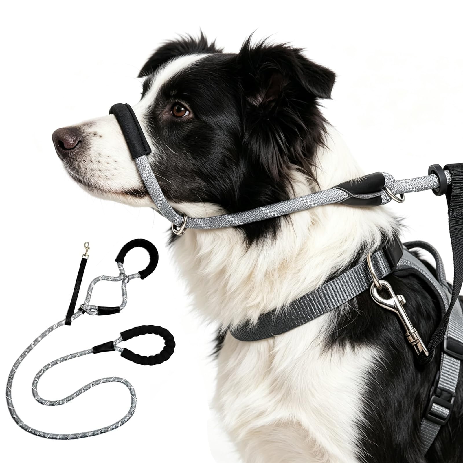 Figure of 8 Dog Lead Anti Pull, Figure 8 Dog Lead, Comfortable & Durable Tow Rope with Nose Padding and Collar Attachment for Walking
