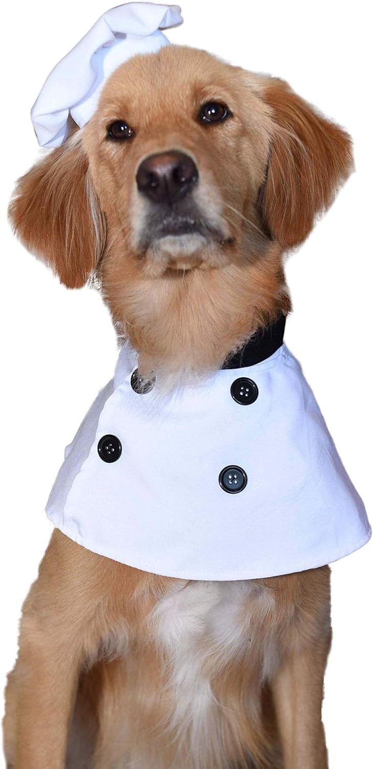 Pet Krewe Chef Dog Costume, Dog Costumes for Small, Medium, Large, and Extra Large Dogs, Pet Costumes, Dog Halloween Costumes, Parties, Photoshoots, Gifts for Dog Lovers