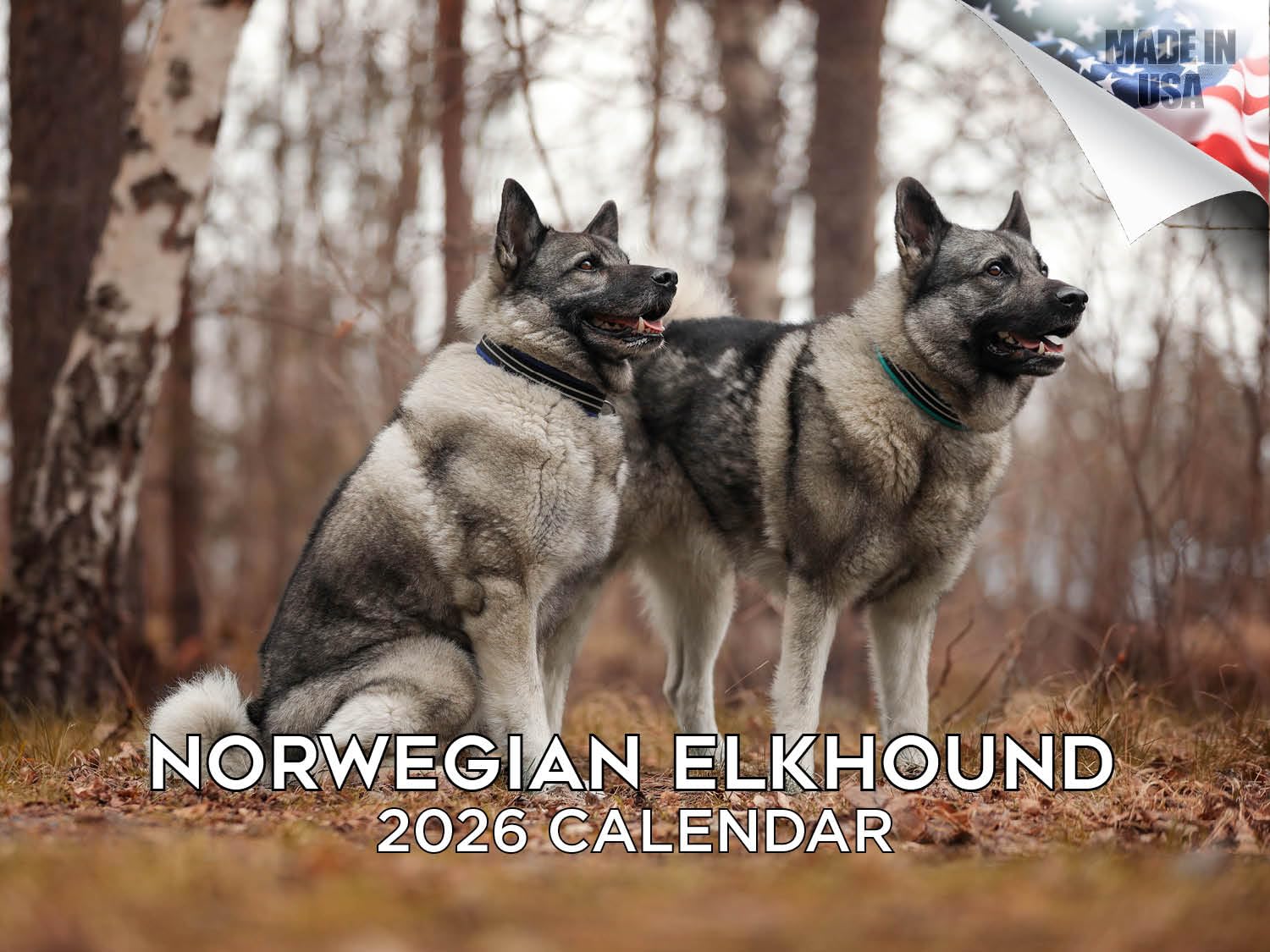 Calendario 2024 2025 Noruego de Elkhound – Calendario mensual de pared de raza de perro – 12 x 18 pulgadas abierto – Papel grueso que no se corre – Regalo – Planificador académico para profesores,